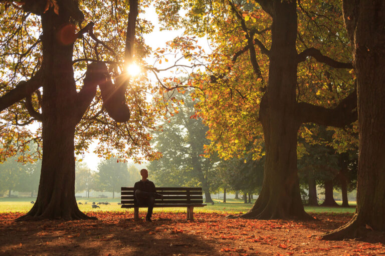 Self Care for Therapists relaxing in the woods on a bench with sun shining