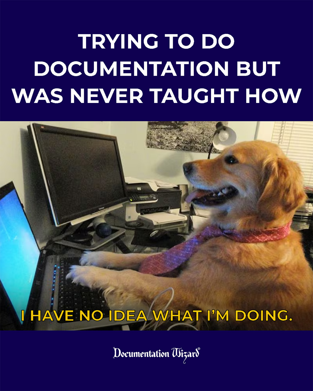 Trying to do Documentation but was never taught now (with a dog at  computer)
